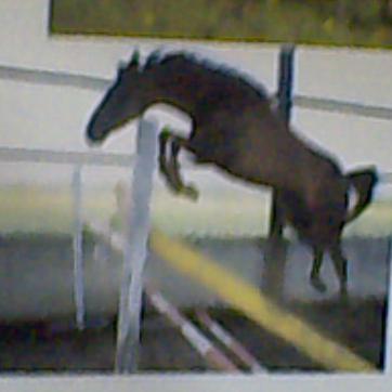 obrázky a foto 078.png