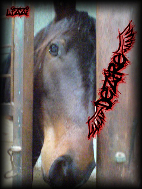 obrázky a foto 033.jpg